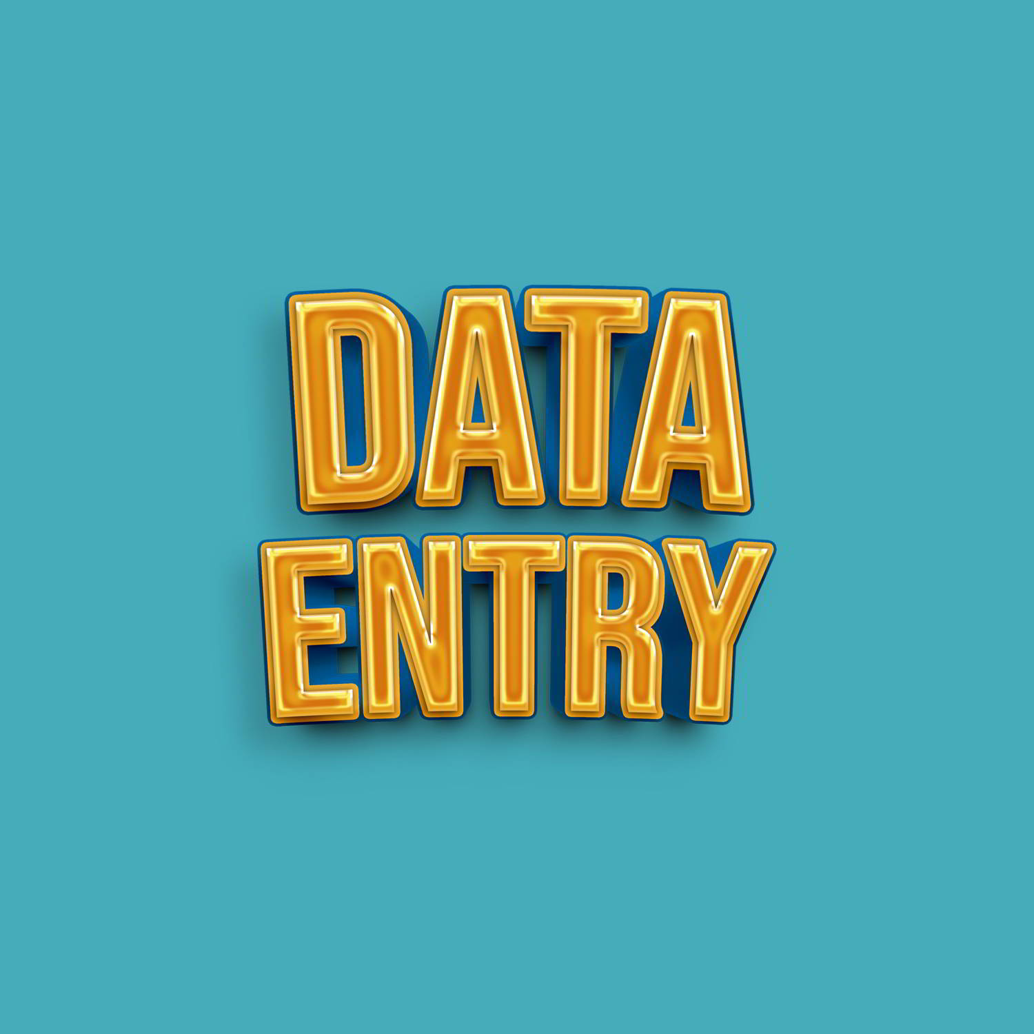 Data Entry - Ryam Chacon Design